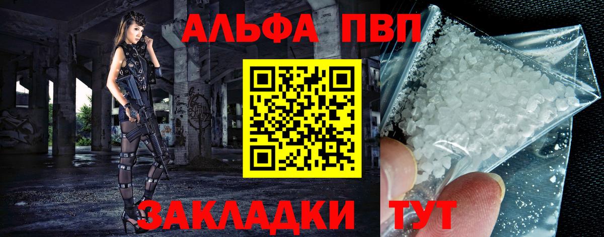 A PVP СК КРИС Грозный