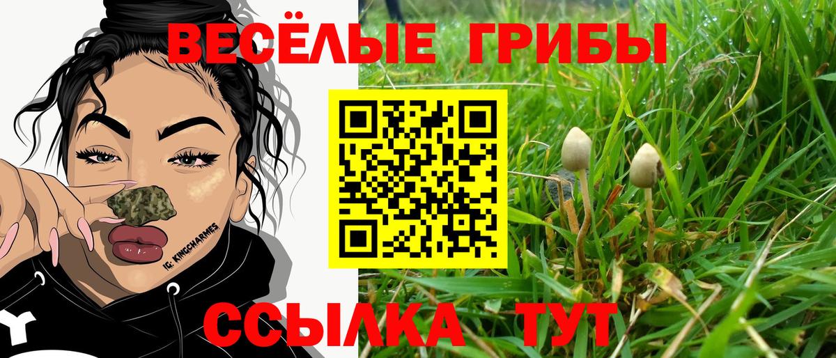 Грозный  Галлюциногенные грибы GOLDEN TEACHER  Вход с VPN 