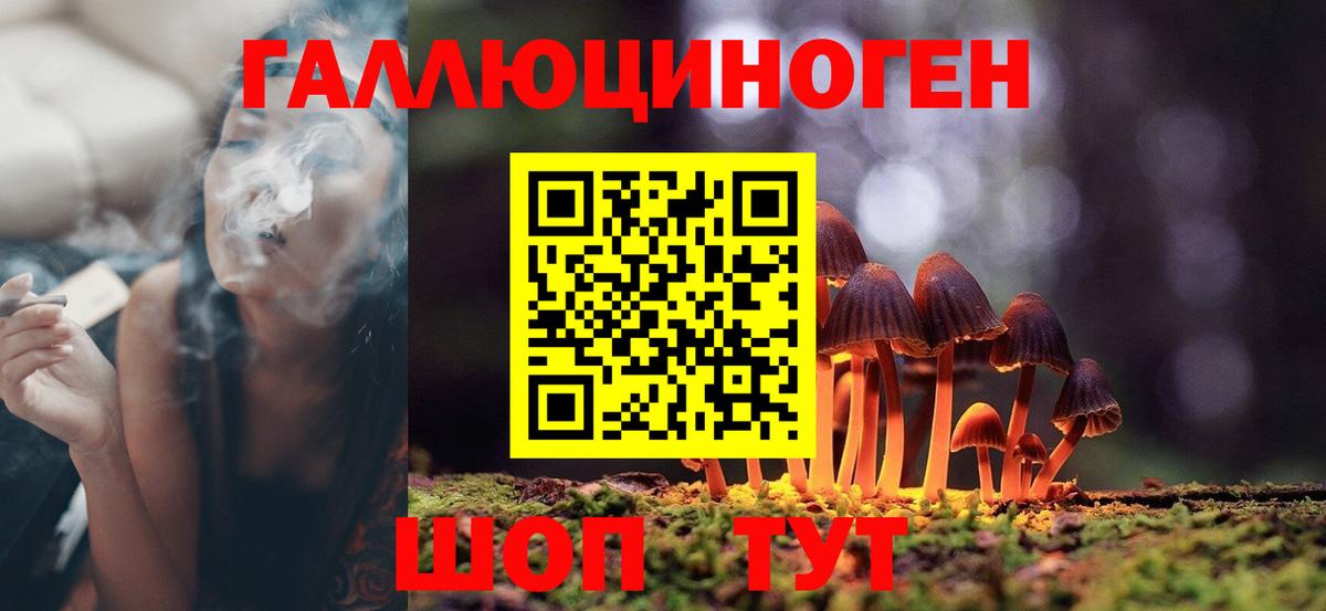 Галлюциногенные грибы мухоморы Грозный